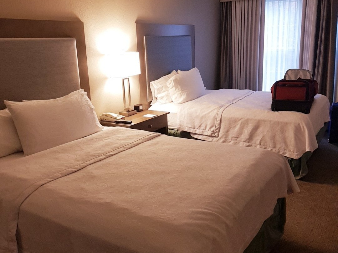 波士顿/比尔里卡-希尔顿惠庭套房酒店主图