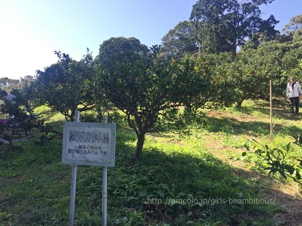Matsumoto Farm-真鹤町必去景点