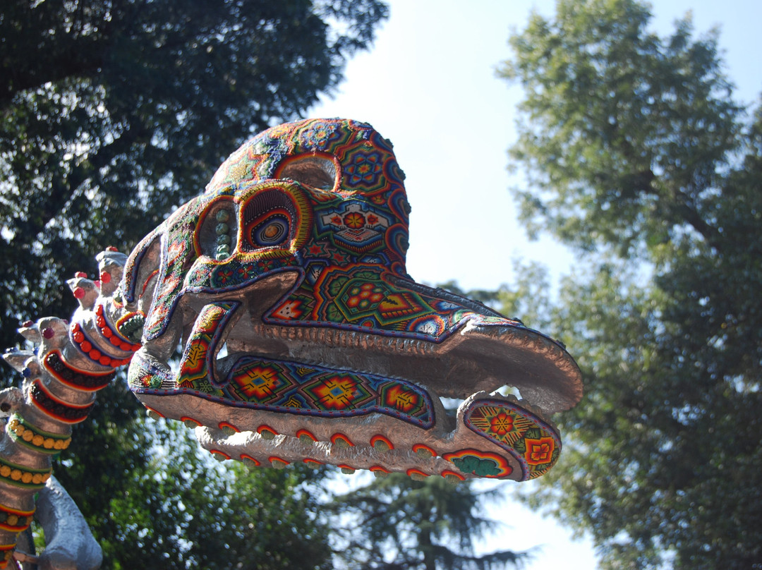 Alameda Zaragoza-萨尔蒂必去景点