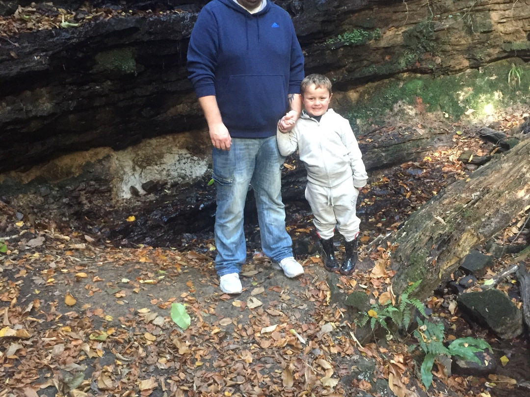 Old Roar Gill-海斯廷斯必去景点