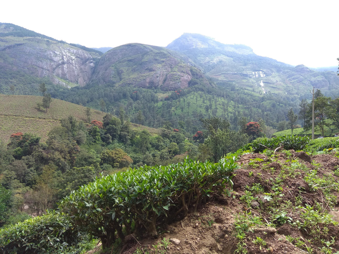 Marayoor Holidays主图