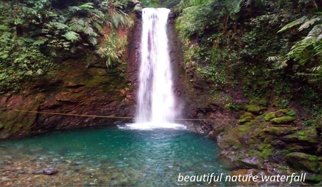 volcano hike + Jungle trekking adventure-茂物必去景点