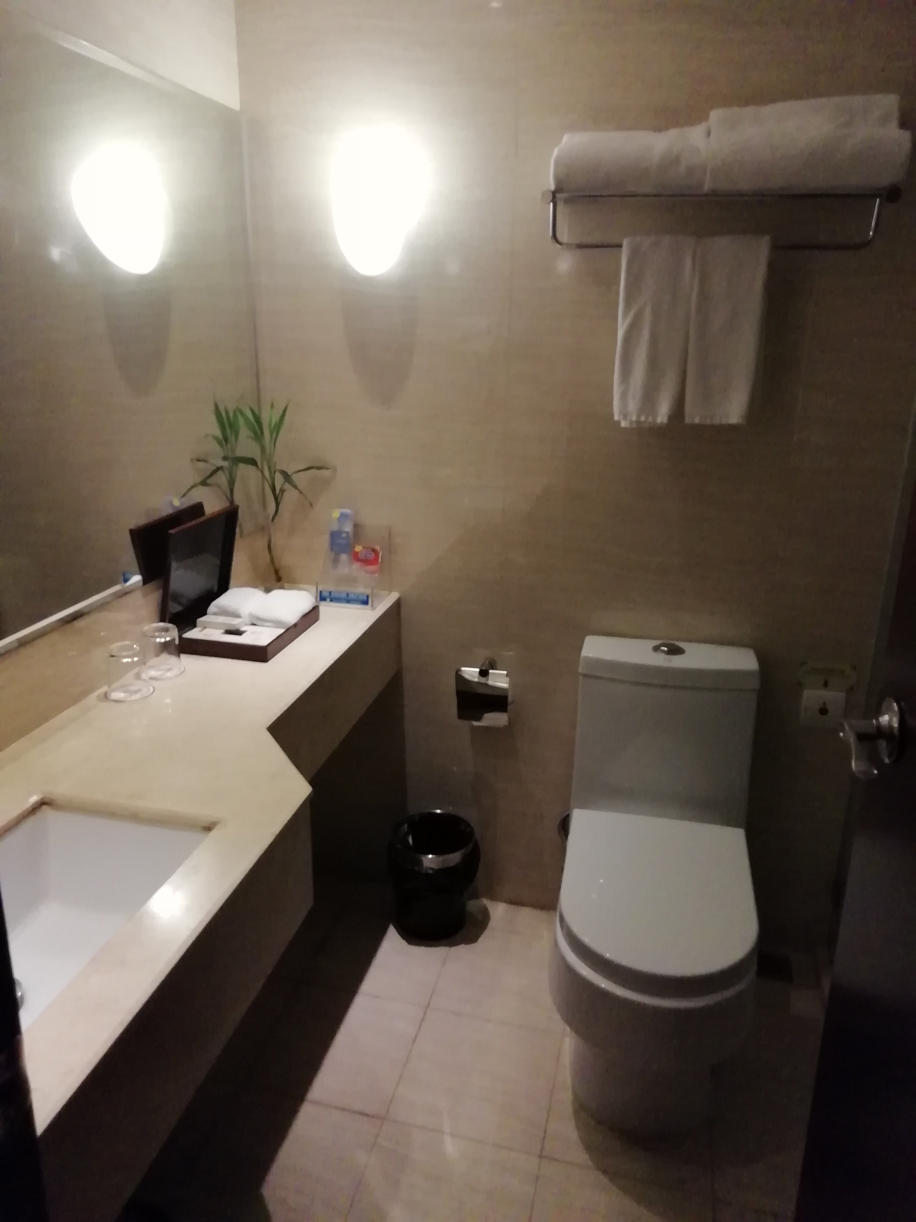 澳城花园酒店-浴室