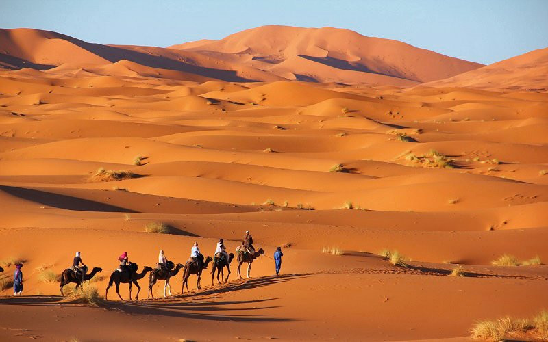 Morocco Guided Travel景点图片