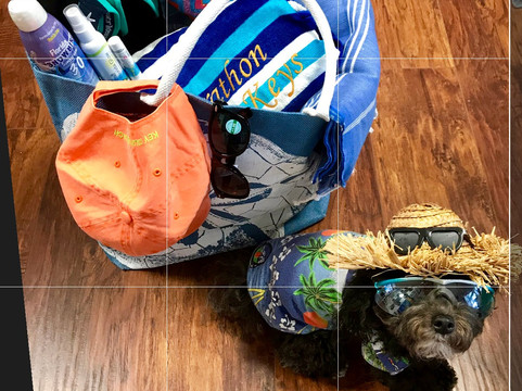 Island Gift Shop-马拉松必去景点