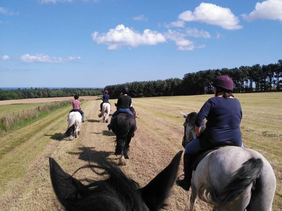 Swinhoe Farm Riding Centre-Belford必去景点