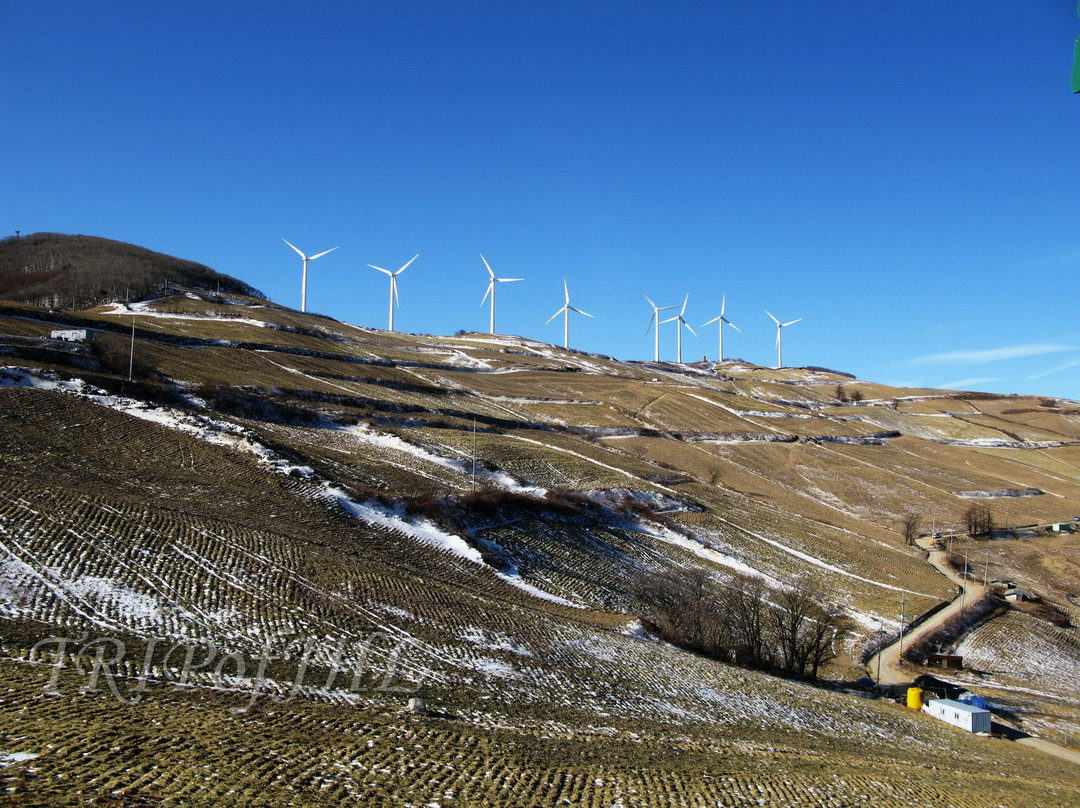 Maebongsan Wind Power Plant Complex-太白市必去景点