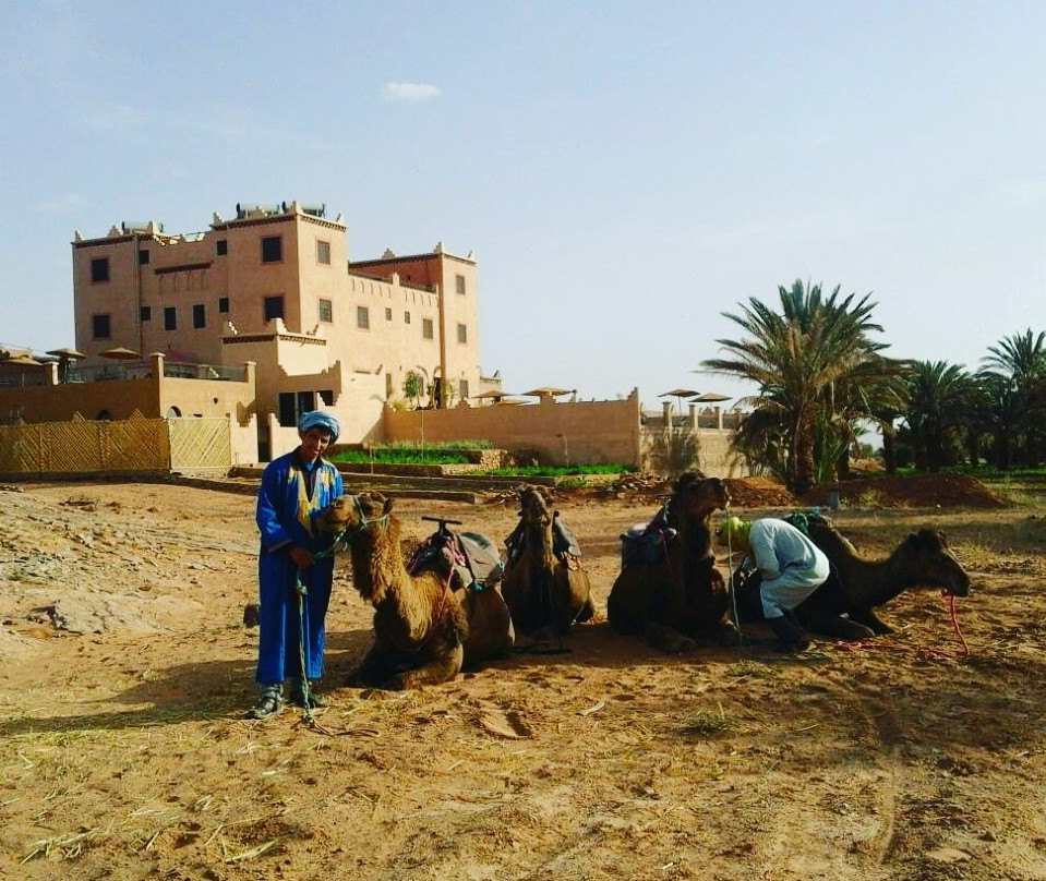 Ramlia酒店住宿-Les Jardins De Tafraout