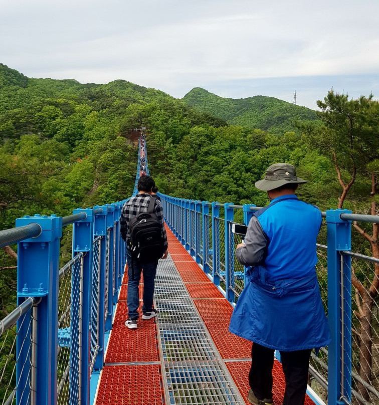 Wonju Sogeumsan Mountain Suspension Bridge景点图片