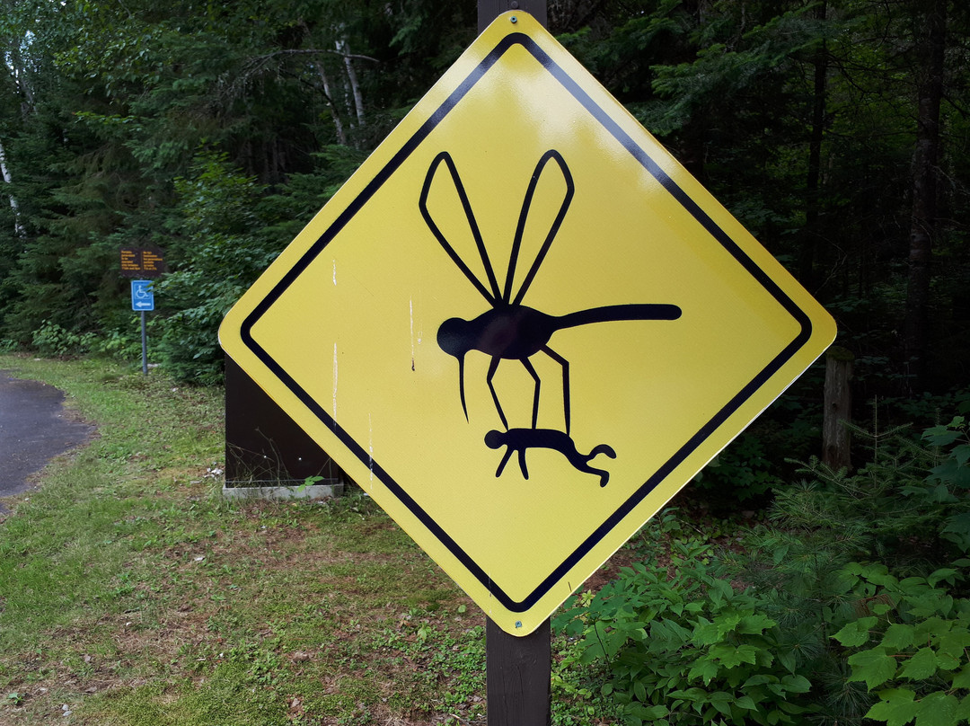 Mississagi Provincial Park-Elliot Lake必去景点