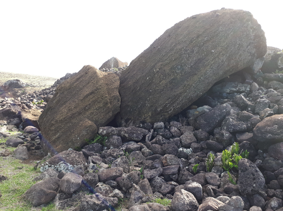Hanga Te Tenga-复活节岛必去景点