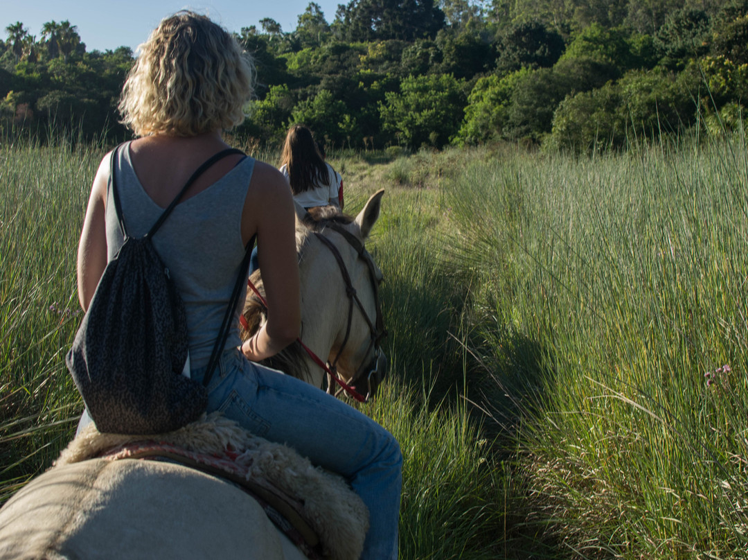 Cabalgatas Punta del Diablo-Punta del Diablo必去景点