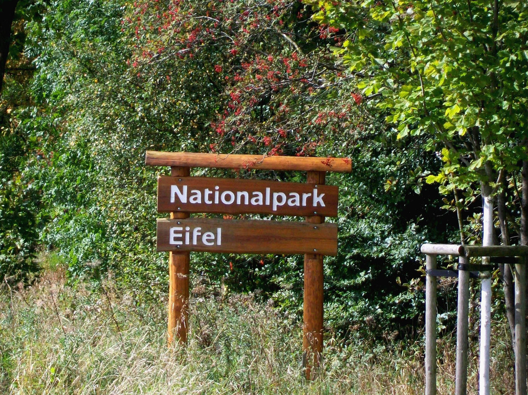 Landhaus Eifelsicht主图