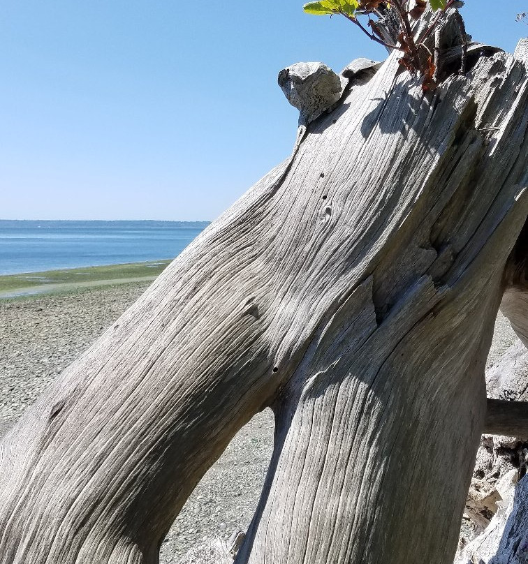 Maury Island Marine Park-Vashon必去景点