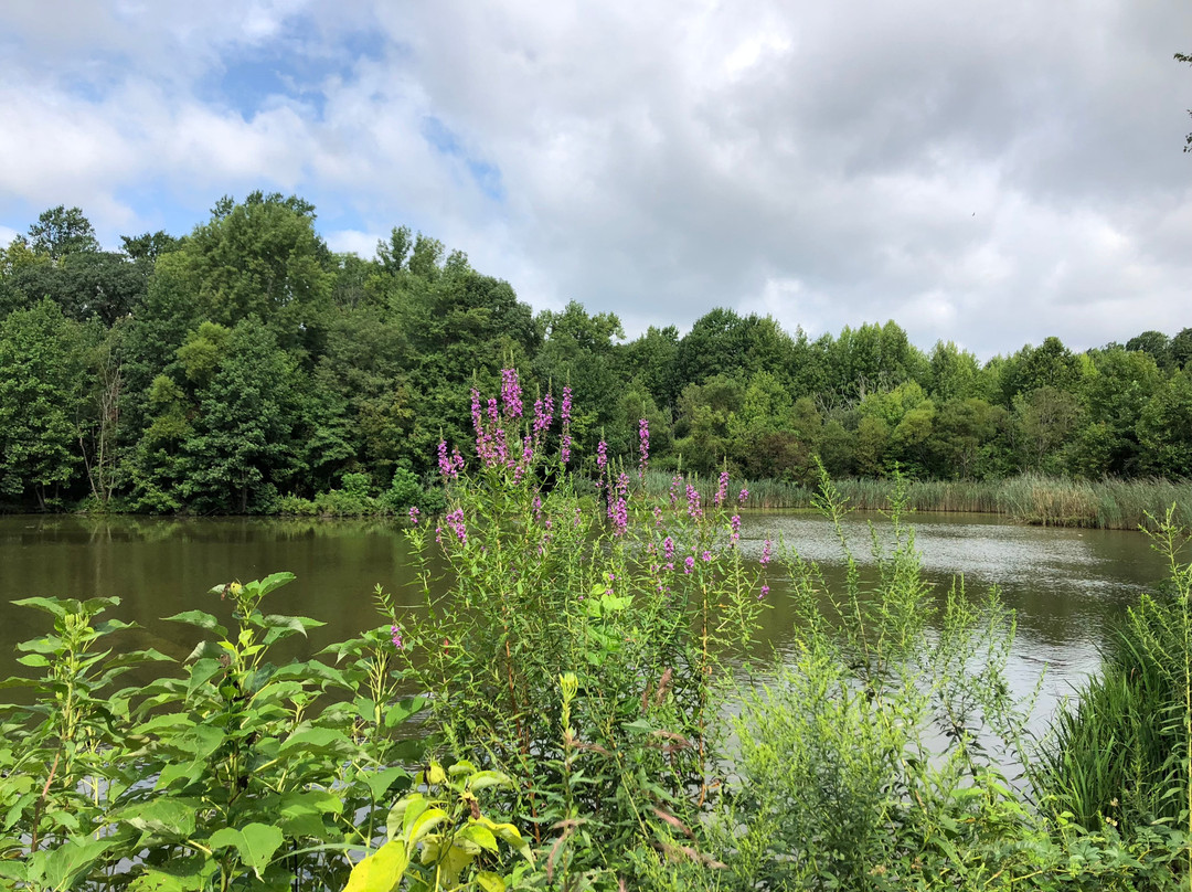 Washington Lake Park景点图片
