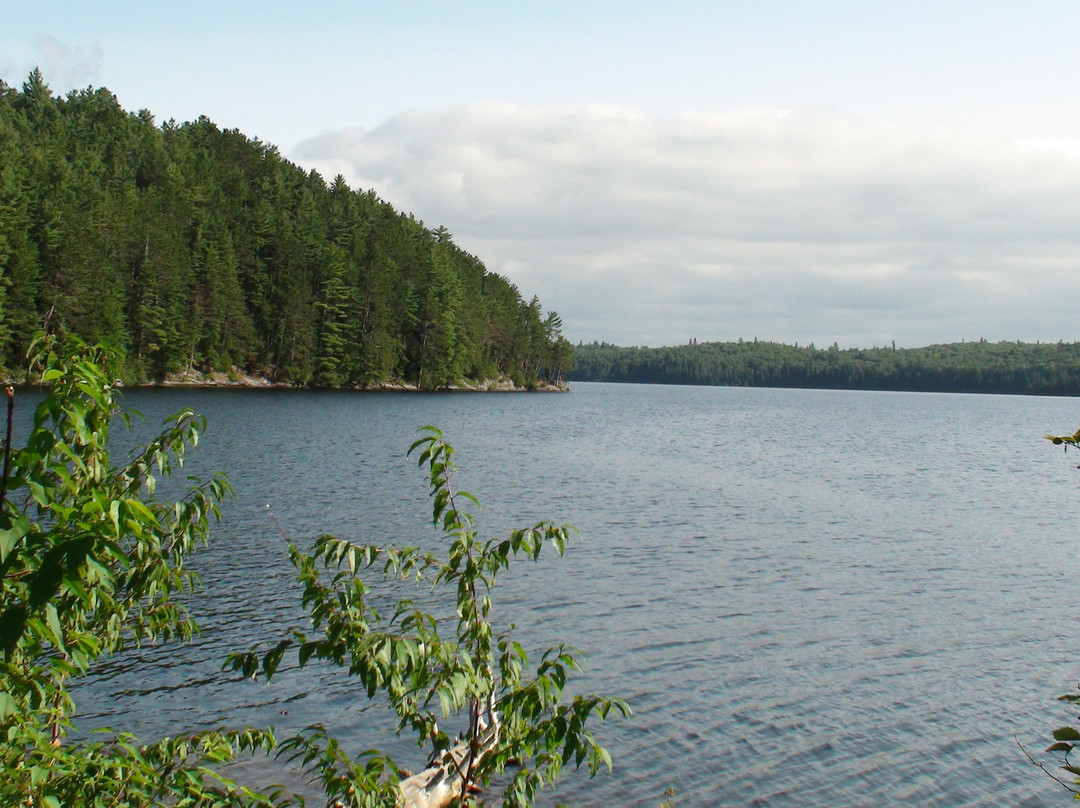 Lake Opeongo景点图片