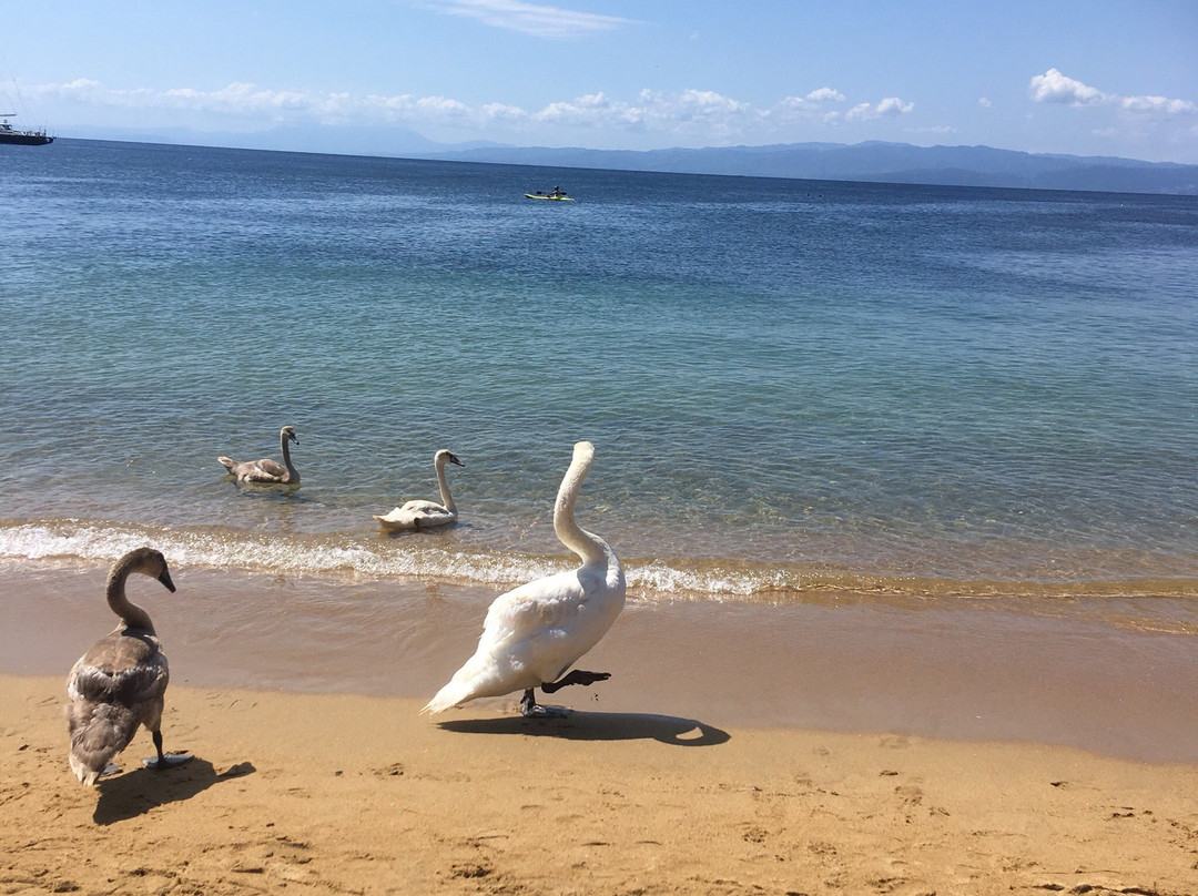 Agia Paraskevi Beach景点图片