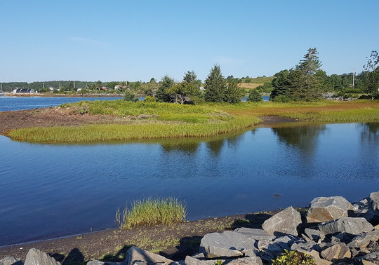 Masons Beach旅游攻略图片