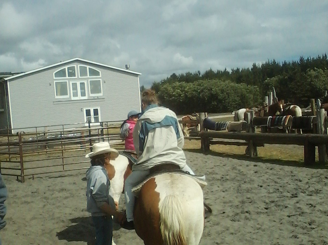 Back Country Horse Rides景点图片