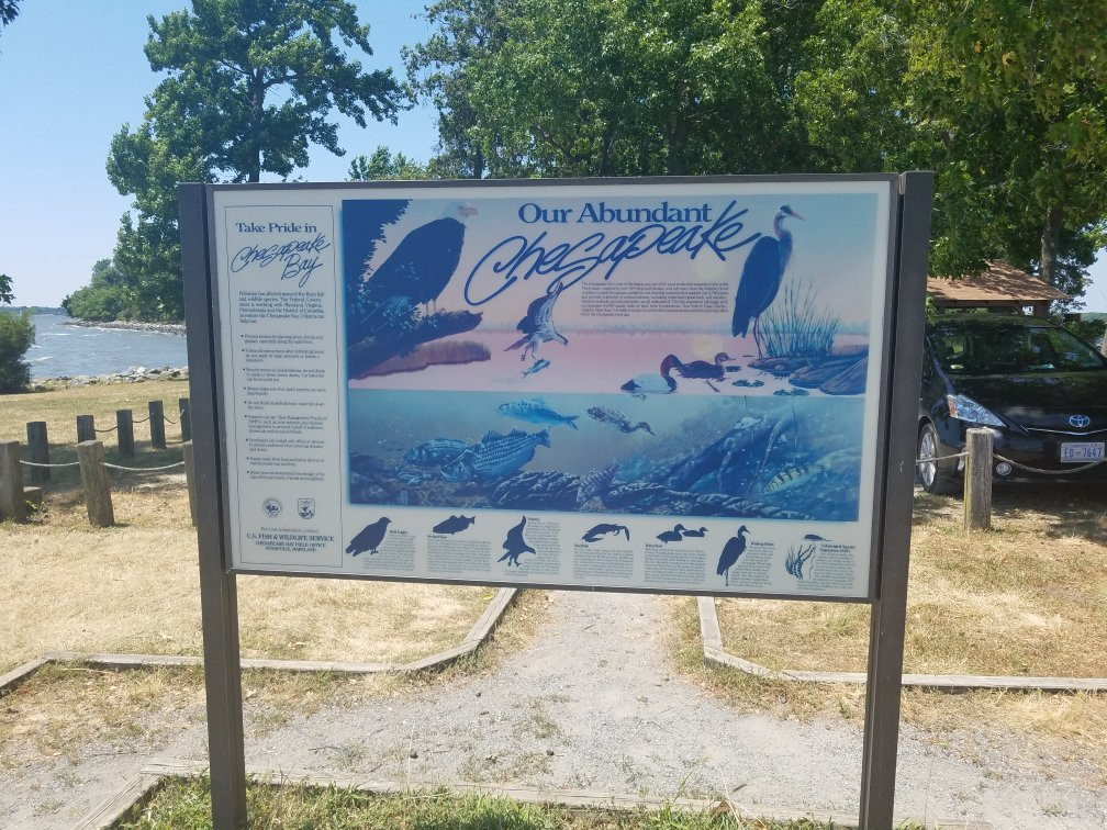 Thomas Point Park-安纳波利斯必去景点