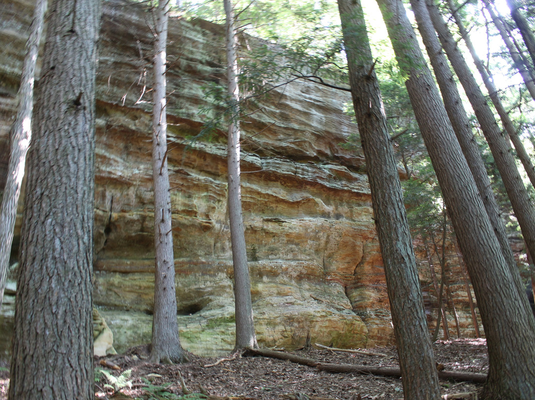 Hemlock Bridge Trail-洛根必去景点
