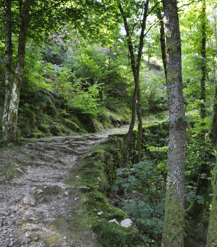 Vallée des Rouets景点图片