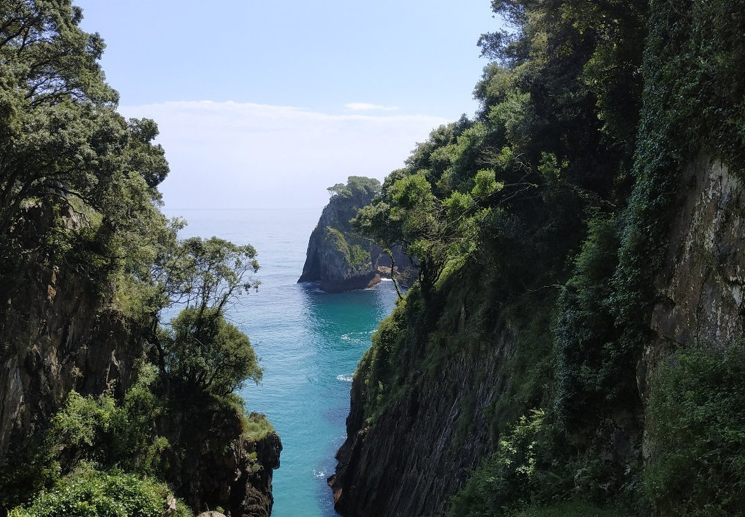 Cueva de El Pindal景点图片