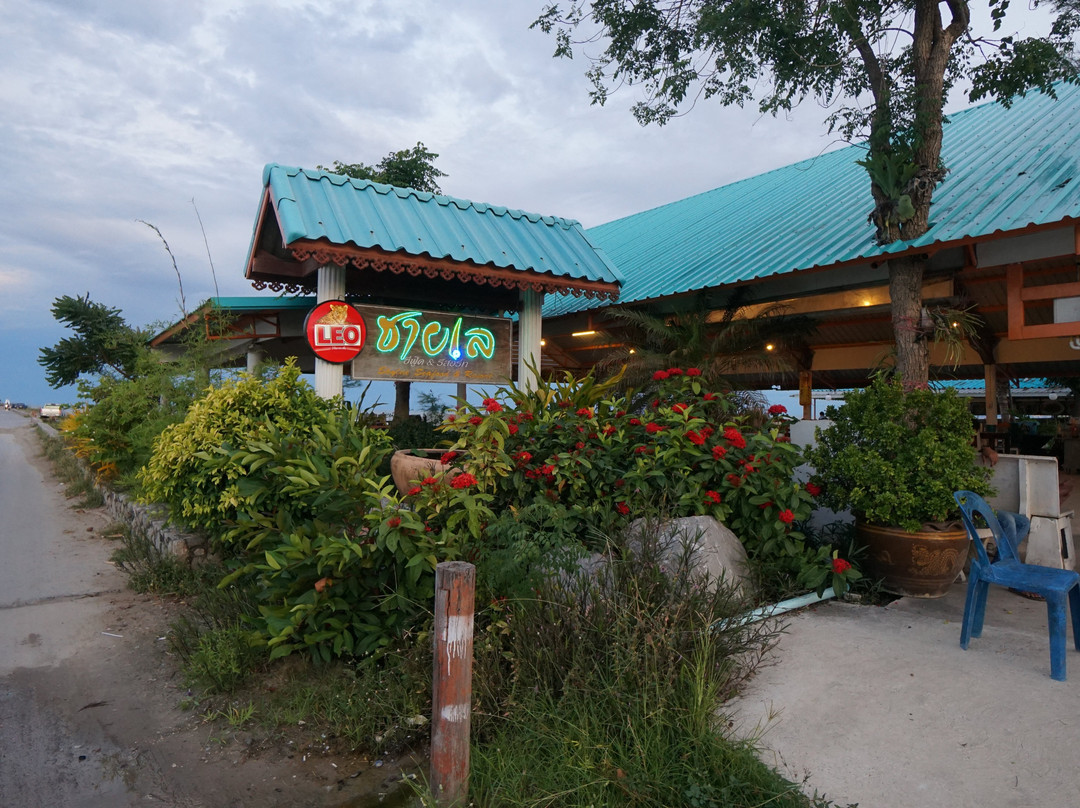 Saphan Pla Cha-am-碧差汶必去景点