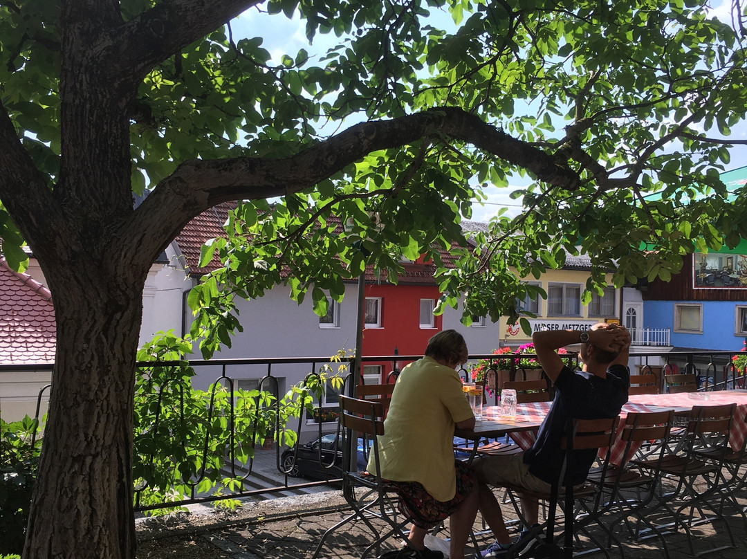 Neukirchen am Walde旅游攻略图片