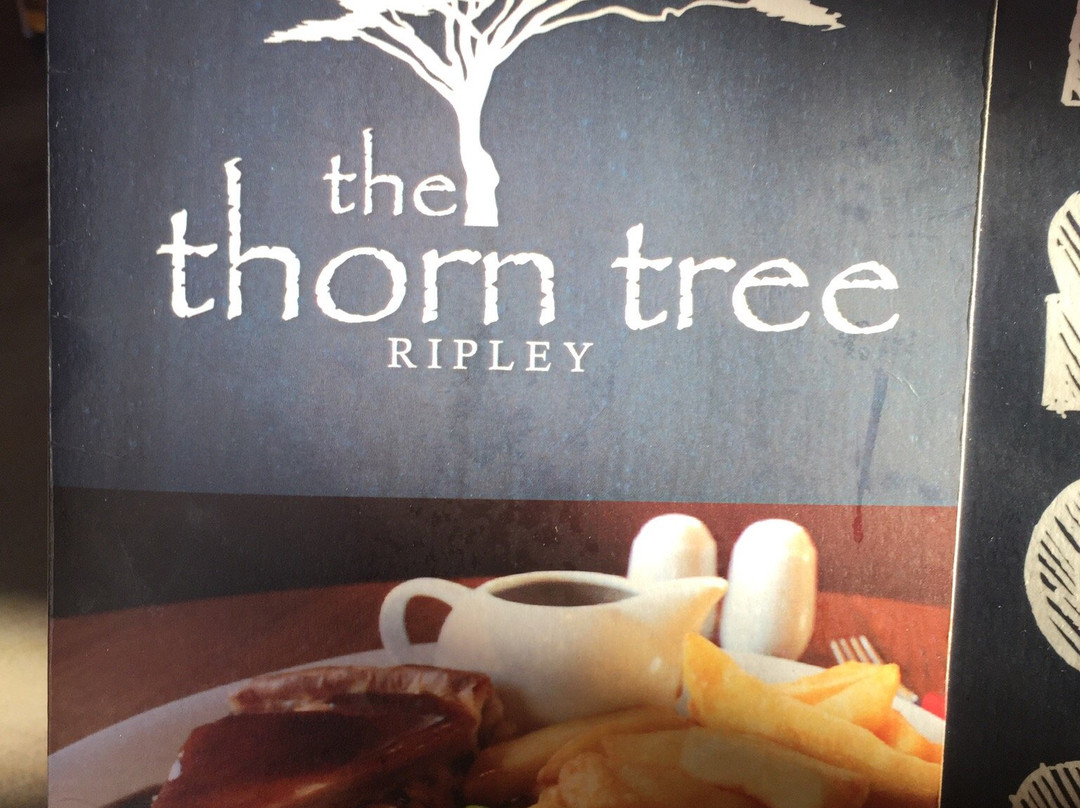 The Thorn Tree Ripley-Ripley必去景点