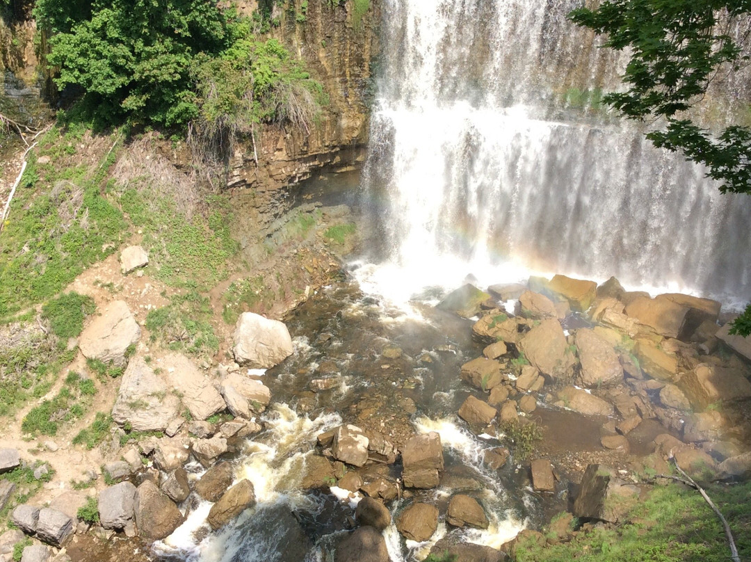 Hamilton Falls景点图片