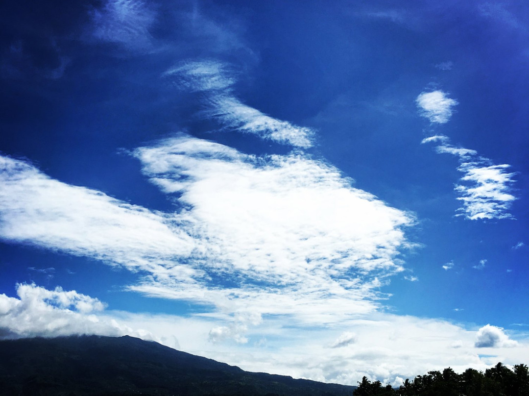 Lake Buhi Resort主图