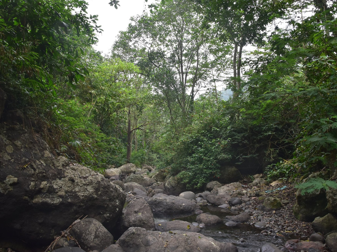 Juwuk Manis Waterfall-佩库塔腾必去景点