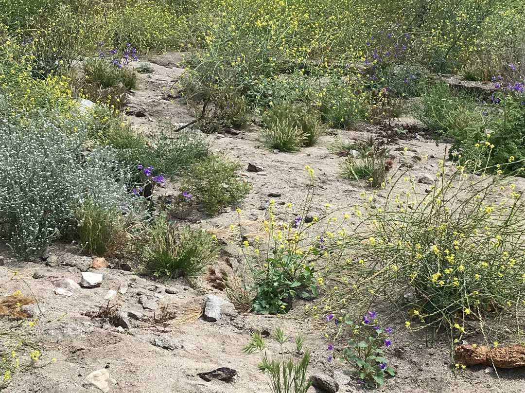 Stough Canyon Nature Center-伯班克必去景点