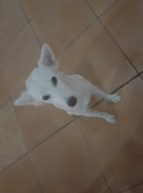 Abatan RiverLife Tour-Cortes必去景点