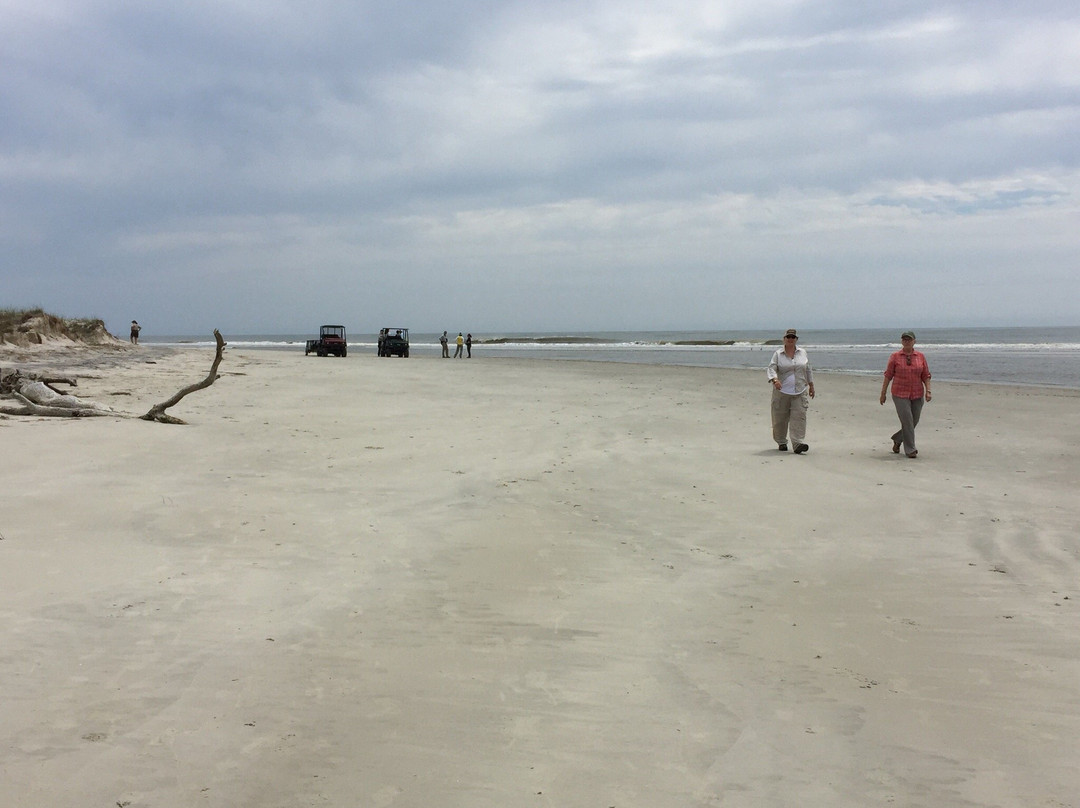 Blackbeard Island National Wildlife Refuge-萨凡纳必去景点