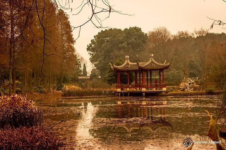 武汉植物园景点图片