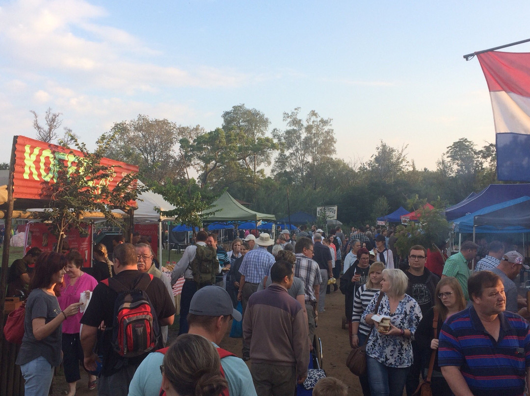 Pretoria Farmers Market-比勒陀利亚必去景点