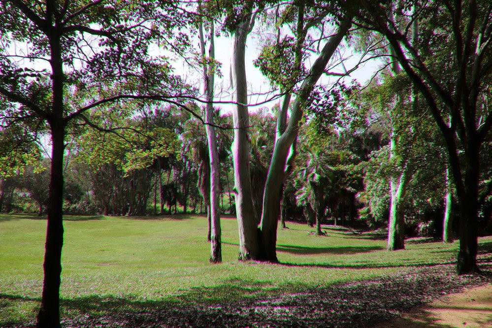 Tondoon Botanic Gardens-Gladstone必去景点