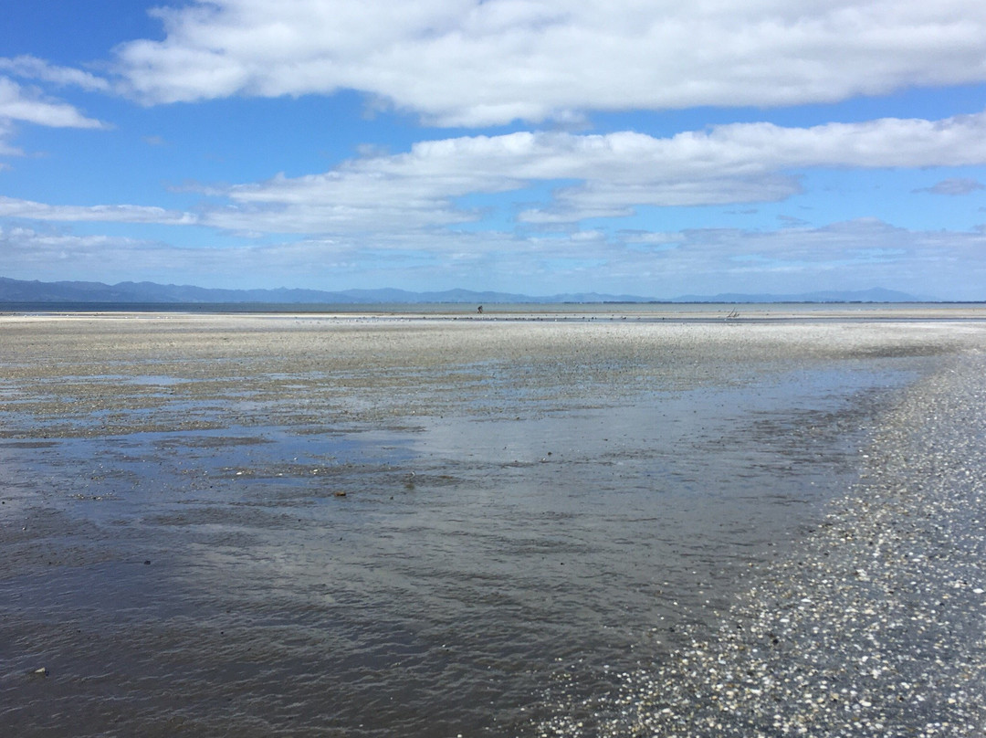 Pūkorokoro Miranda Shorebird Centre-Miranda必去景点