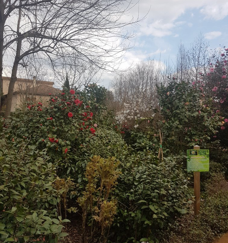 Parc Floral Les Camellias De La Prairie景点图片