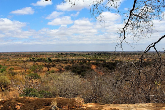 艾勒瓦纳艾尔萨克佩哈酒店主图