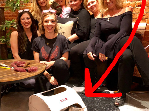 River Kitty Cat Cafe-埃文斯维尔必去景点