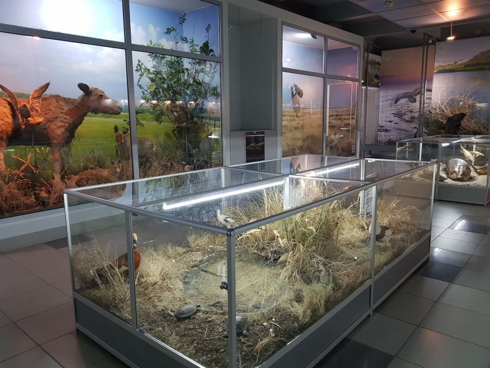 Volgograd Regional Local Lore Museum-伏尔加格勒必去景点
