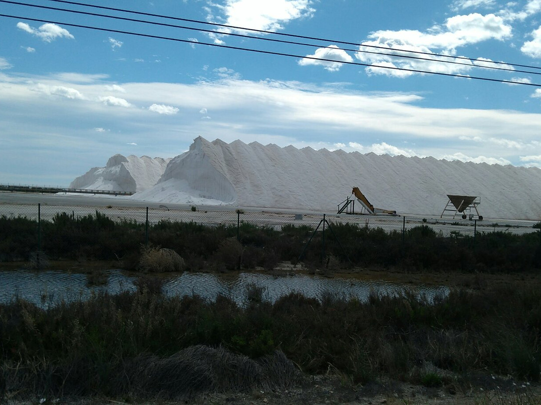 Parque Natural De Las Salinas De Santa Pola景点图片