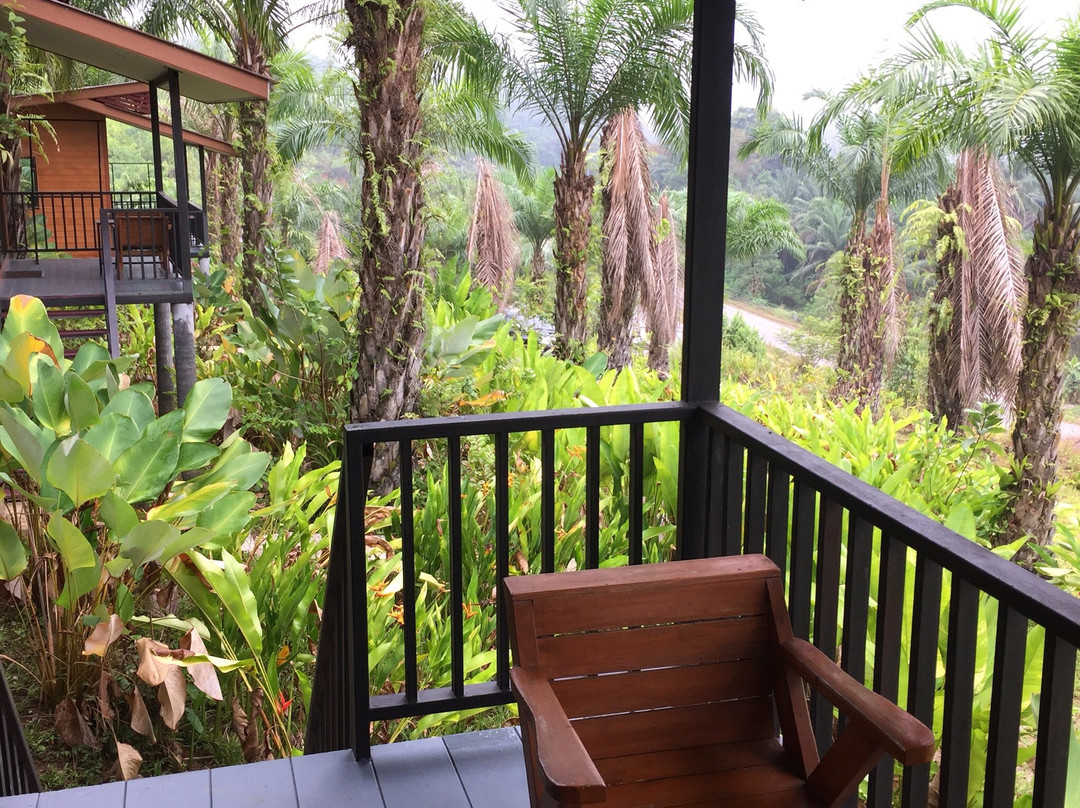 Khao Sok Horizon主图