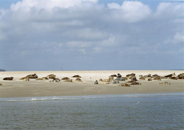 Hoeve Witteborg主图