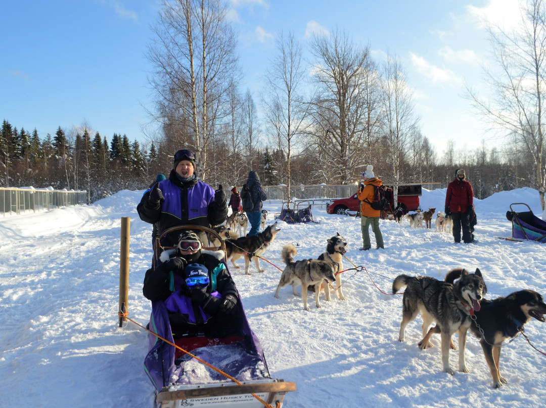 Sweden Husky Tours景点图片