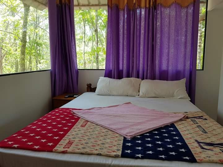 Ponmudi Valley Resort主图