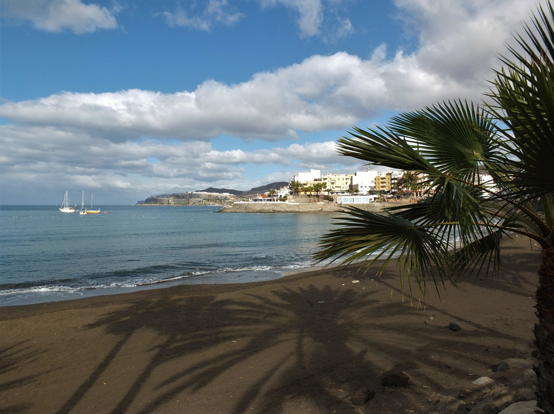 Las Marañuelas Beach景点图片